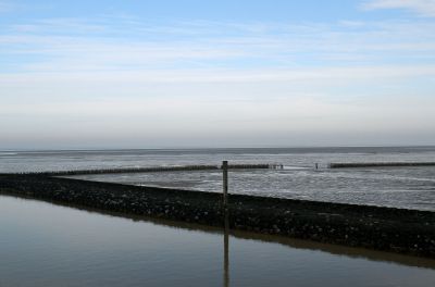 Seit 2009 Weltnaturerbe: Das Wattenmeer