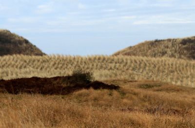 Genießen Sie die inselspezifische Natur und die Bewegung an der frischen Nordseeluft