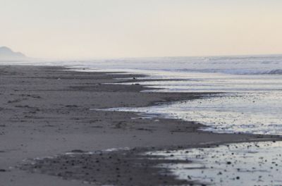 Auch an einem diesigen Tag ist ein Strandspaziergang einfach herrlich